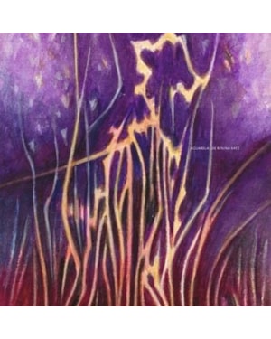 AQUARELAS - RENINA KATZ