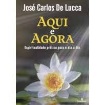 AQUI E AGORA: ESPIRITUALIDADE PRÁTICA PARA O DIA A DIA