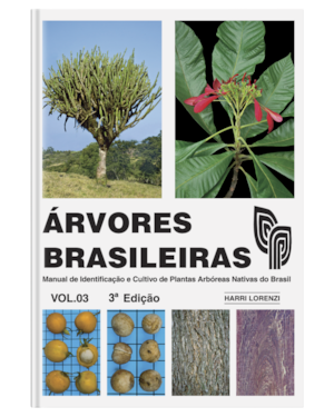 ÁRVORES BRASILEIRAS VOLUME 3 - MANUAL DE IDENTIFICAÇÃO E CULTIVO DE PLANTAS ARBÓREA NATIVAS DO BRASIL