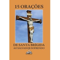 AS 15 ORAÇÕES DE SANTA BRÍGIDA: AO SALVADOR SOFRENDO