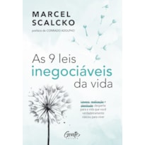 AS 9 LEIS INEGOCIÁVEIS DA VIDA: LEVEZA, REALIZAÇÃO E PLENITUDE: DESPERTE PARA A VIDA QUE VOCÊ VERDADEIRAMENTE NASCEU PARA VIVER