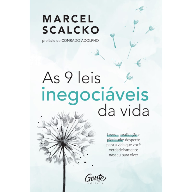 AS 9 LEIS INEGOCIÁVEIS DA VIDA: LEVEZA, REALIZAÇÃO E PLENITUDE: DESPERTE PARA A VIDA QUE VOCÊ VERDADEIRAMENTE NASCEU PARA VIVER