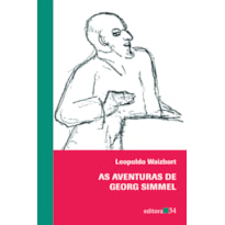 AS AVENTURAS DE GEORG SIMMEL