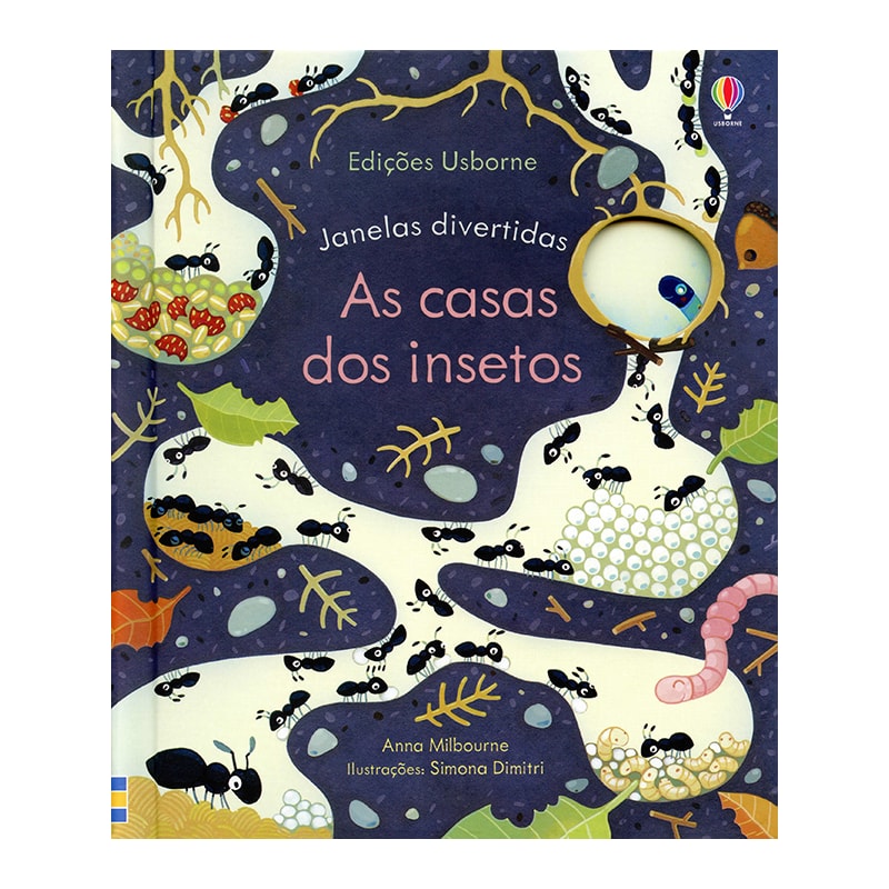 AS CASAS DOS INSETOS: JANELAS DIVERTIDAS