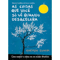 AS COISAS QUE VOCÊ SÓ VÊ QUANDO DESACELERA: COMO MANTER A CALMA EM UM MUNDO FRENÉTICO