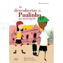 AS DESCOBERTAS DE PAULINHO NA METRÓPOLE