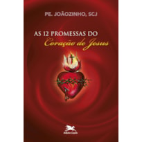 AS DOZE PROMESSAS DO CORAÇÃO DE JESUS