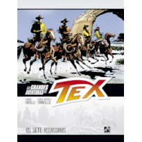 AS GRANDES AVENTURAS DE TEX - VOLUME 6 - OS SETE ASSASSINOS - VOL. 6