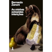 AS MINHAS ESTÚPIDAS INTENÇÕES