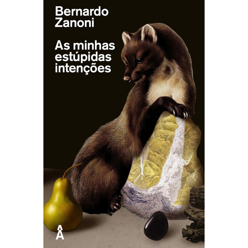AS MINHAS ESTÚPIDAS INTENÇÕES
