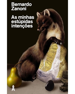 AS MINHAS ESTÚPIDAS INTENÇÕES