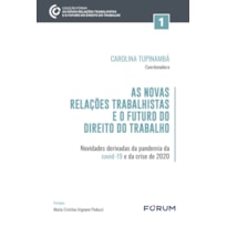 As novas relações trabalhistas e o futuro do direito do trabalho: novidades derivadas da pandemia da covid-19 e da crise de 2020