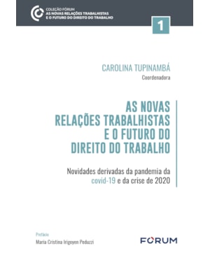As novas relações trabalhistas e o futuro do direito do trabalho: novidades derivadas da pandemia da covid-19 e da crise de 2020