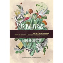 AS PALAVRAS: NADA TÊM A VER COM AS SENSAÇÕES, PALAVRAS SÃO PEDRAS DURAS E SENSAÇÕES DELICADÍSSIMAS, FUGAZES, EXTREMAS
