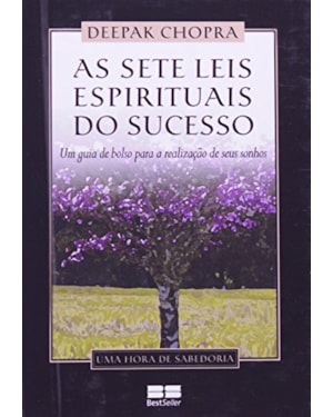 AS SETE LEIS ESPIRITUAIS DO SUCESSO (MINIEDIÇÃO)