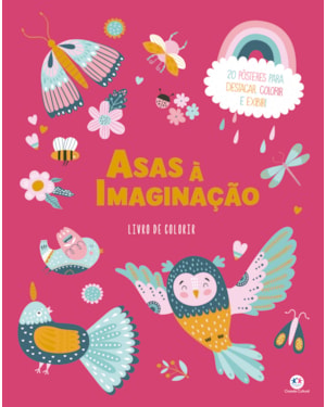 ASAS À IMAGINAÇÃO