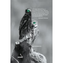 ASCENSÕES E DESCENSOS