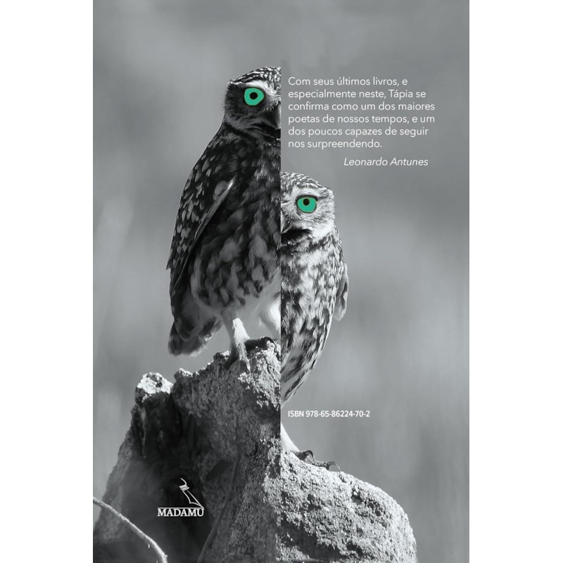 ASCENSÕES E DESCENSOS