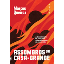 ASSOMBROS DA CASA-GRANDE: A CONSTITUIÇÃO DE 1824 E AS VIDAS PÓSTUMAS DA ESCRAVIDÃO