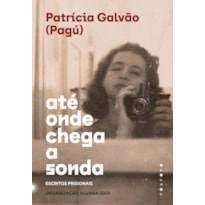ATÉ ONDE CHEGA A SONDA: ESCRITOS PRISIONAIS
