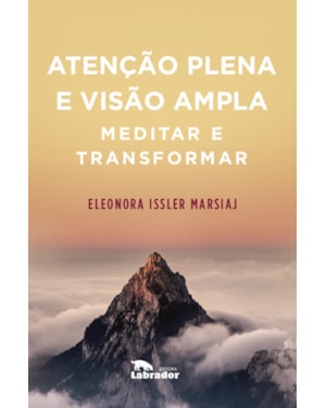 ATENÇÃO PLENA E VISÃO AMPLA
