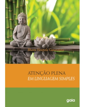 Atenção plena em linguagem simples