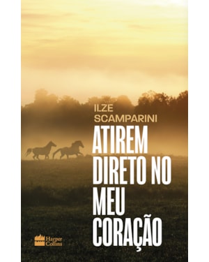ATIREM DIRETO NO MEU CORAÇÃO