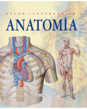 ATLAS ILUSTRADO DE ANATOMIA