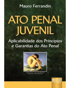 ATO PENAL JUVENIL - APLICABILIDADE DOS PRINCÍPIOS E GARANTIAS DO ATO PENAL