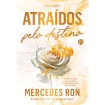ATRAÍDOS PELO DESTINO (VOL. 1 SAGA MARFIL)