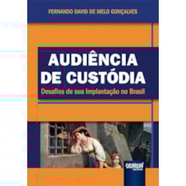 AUDIÊNCIA DE CUSTÓDIA - DESAFIOS DE SUA IMPLANTAÇÃO NO BRASIL