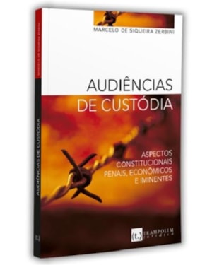 Audiências de custódia. aspectos constitucionais, penais, econômicos e iminentes