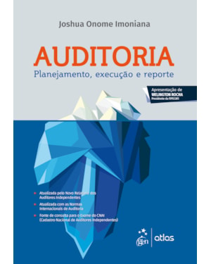 AUDITORIA - PLANEJAMENTO, EXECUÇÃO E REPORTE
