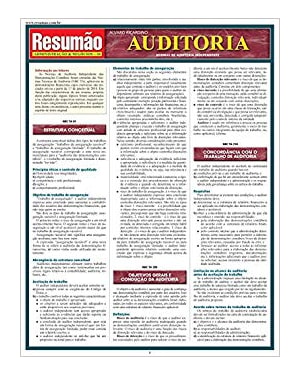 AUDITORIA - RESUMAO ADMINISTRACAO E NEGOCIOS 10