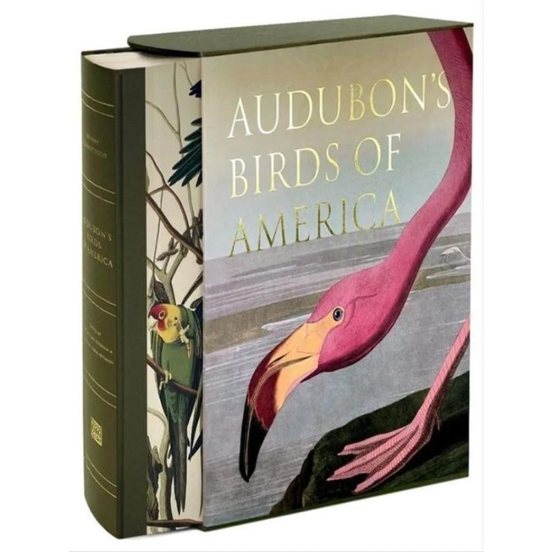 AUDUBON'S BIRDS OF AMERICA