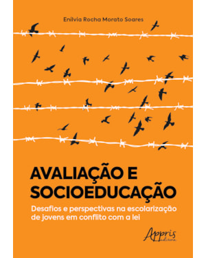 AVALIAÇÃO E SOCIOEDUCAÇÃO: DESAFIOS E PERSPECTIVAS NA ESCOLARIZAÇÃO DE JOVENS EM CONFLITO COM A LEI