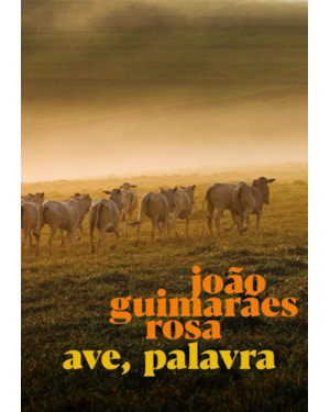 Ave, palavra