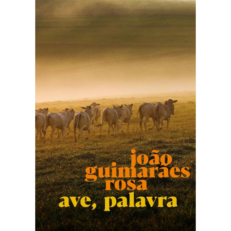 Ave, palavra