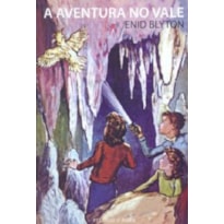 AVENTURA NO VALE, A