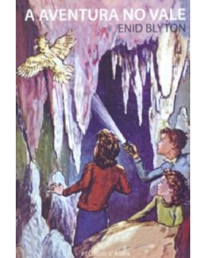 AVENTURA NO VALE, A