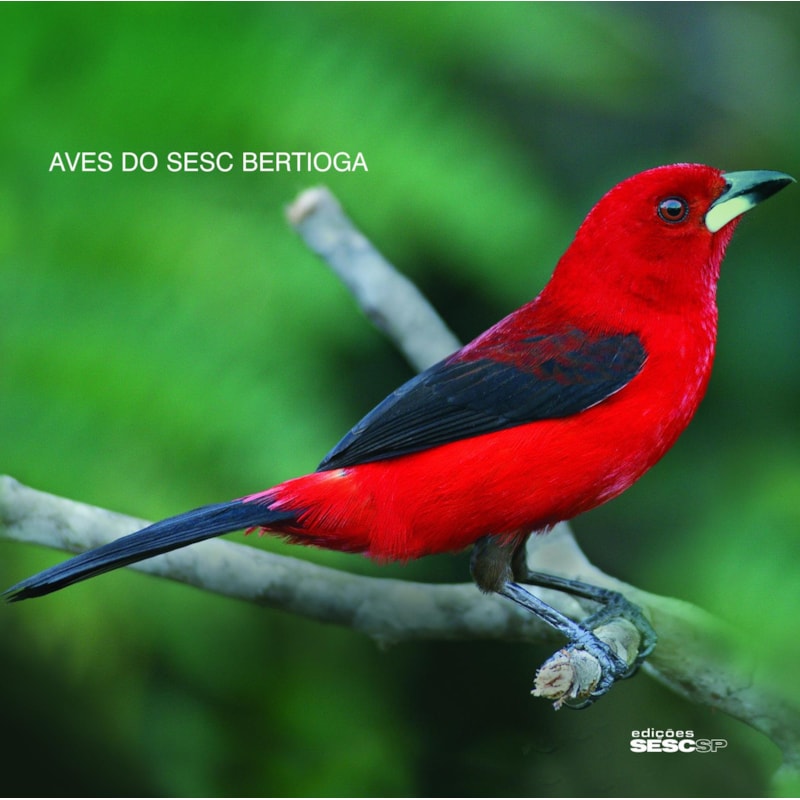 AVES DO SESC BERTIOGA