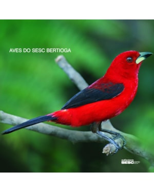 AVES DO SESC BERTIOGA