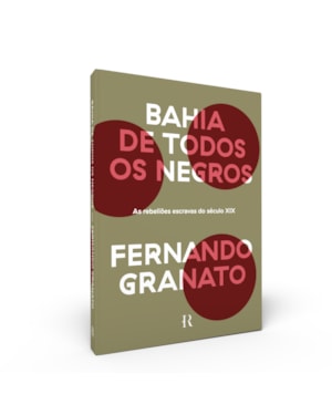 BAHIA DE TODOS OS NEGROS: AS REBELIÕES ESCRAVAS DO SÉCULO XIX