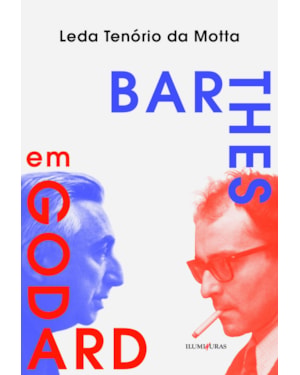 BARTHES EM GODARD: CRÍTICAS SUNTUOSAS E IMAGENS QUE MACHUCAM