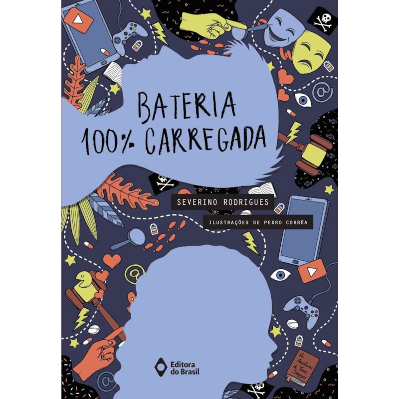 BATERIA 100% CARREGADA