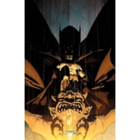 Batman 28/110