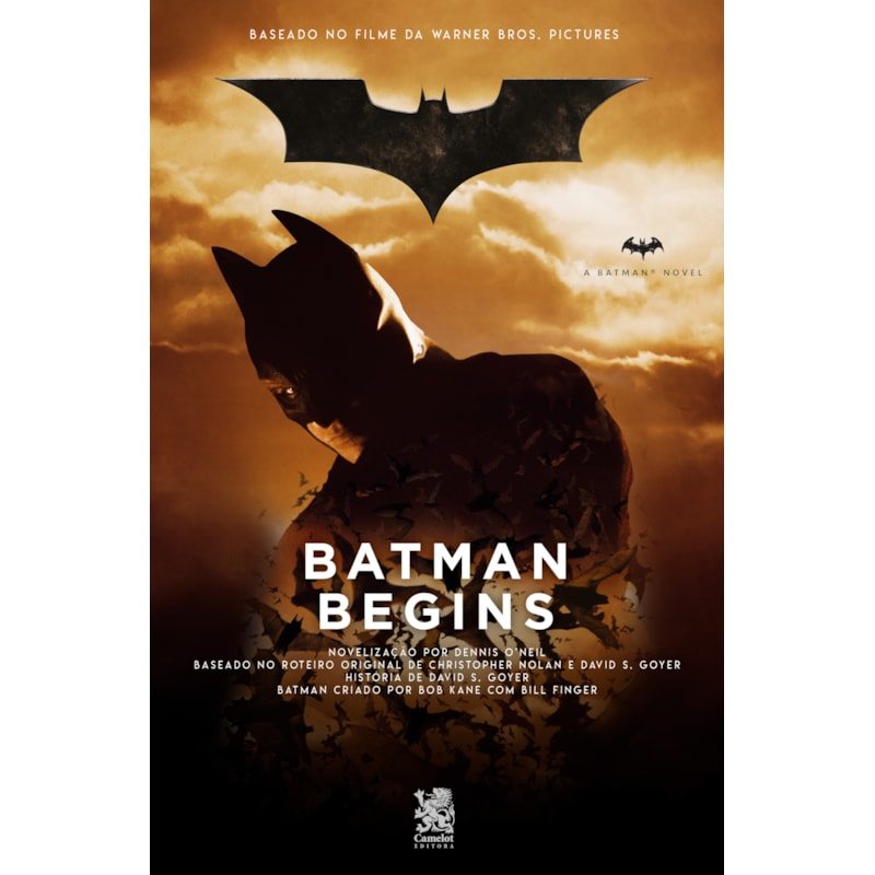 BATMAN BEGINS