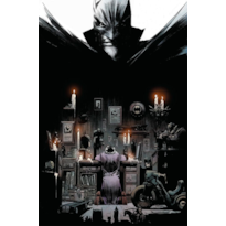 Batman: Cavaleiro Branco (DC de Bolso)