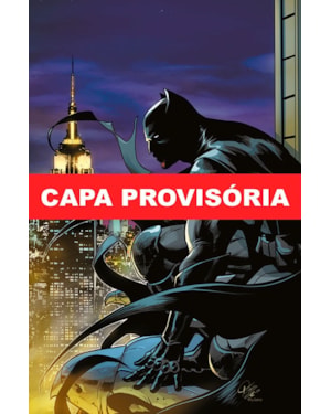Batman especial vol. 13: eu sou o batman