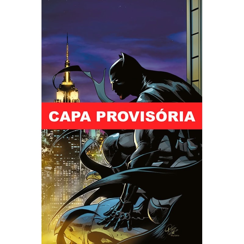 Batman especial vol. 13: eu sou o batman
